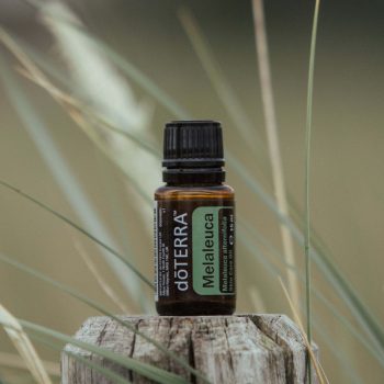 Melaleuca Teebaum Öl doTERRA